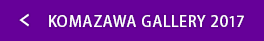 KOMAZAWA GALLERY 2017