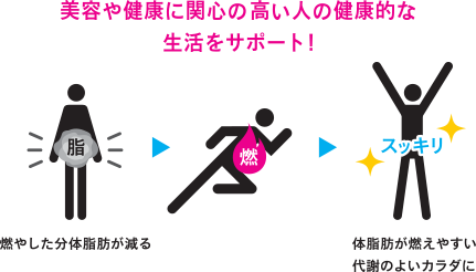 燃やした分体脂肪が減る→体脂肪が燃えやすい代謝のよいカラダに