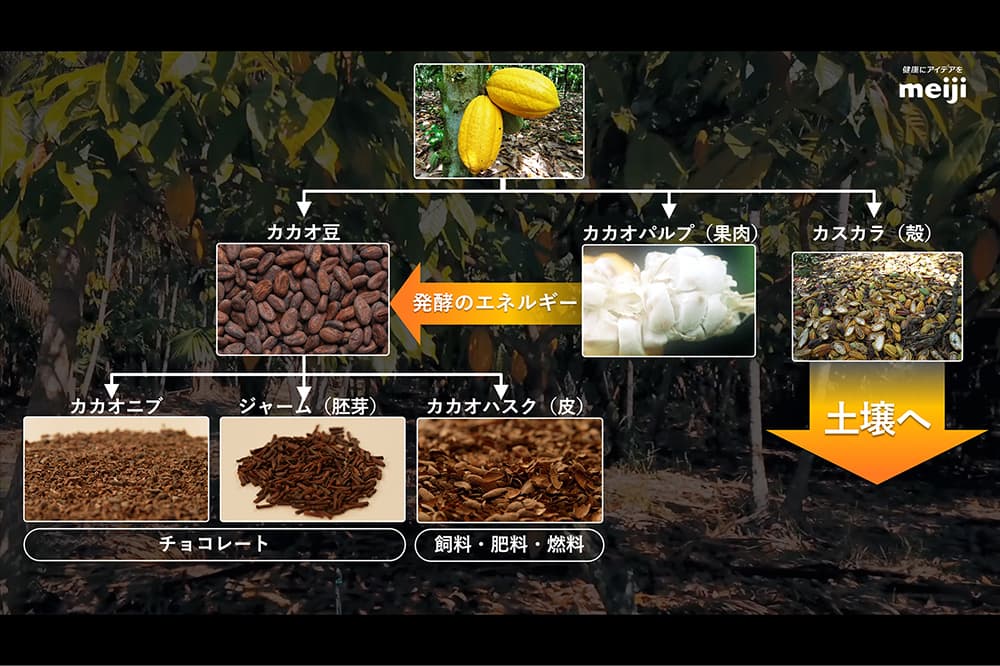 図:カカオをまるごと使った新しい製品づくり