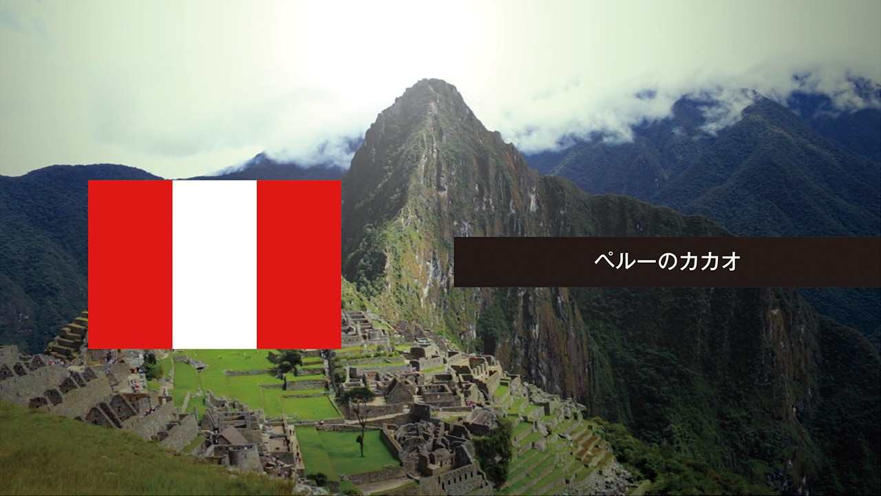 PERU ペルー ミステリアスな歴史と明治の発酵技術がつくる華やかな香り ペルーのカカオ