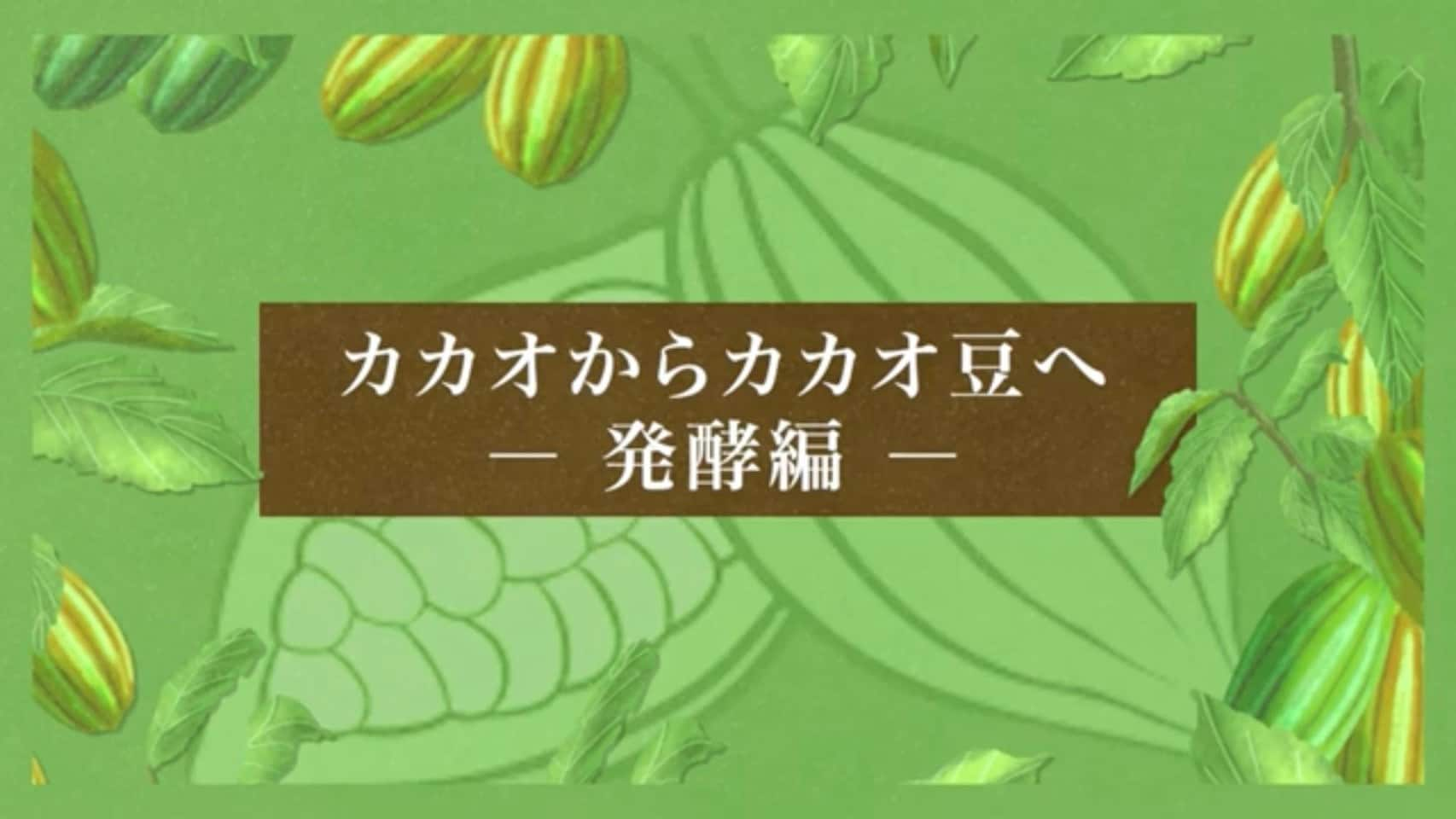 カカオからカカオ豆へ～発酵編～