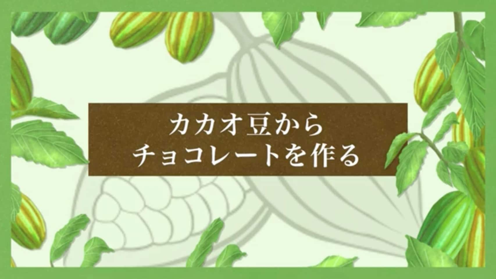 カカオ豆からチョコレートを作る