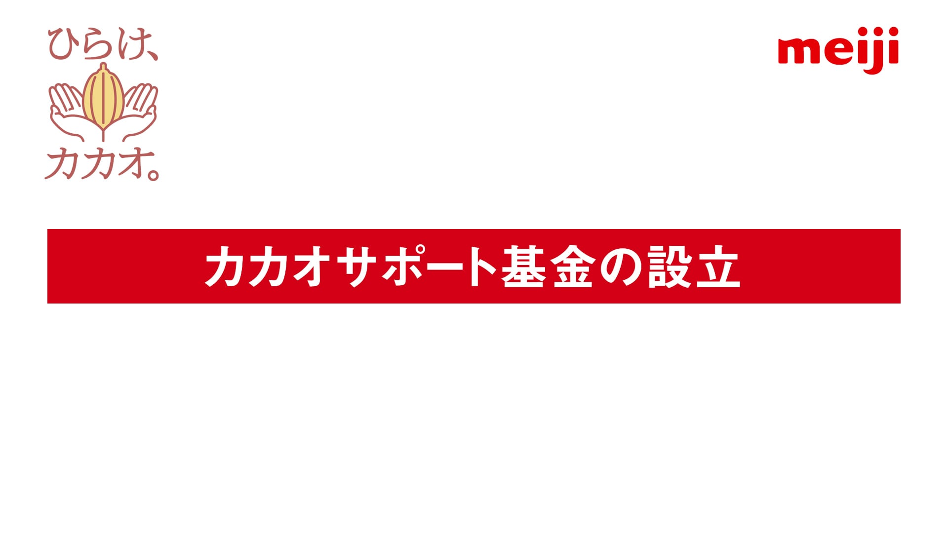 カカオサポート基金の設立