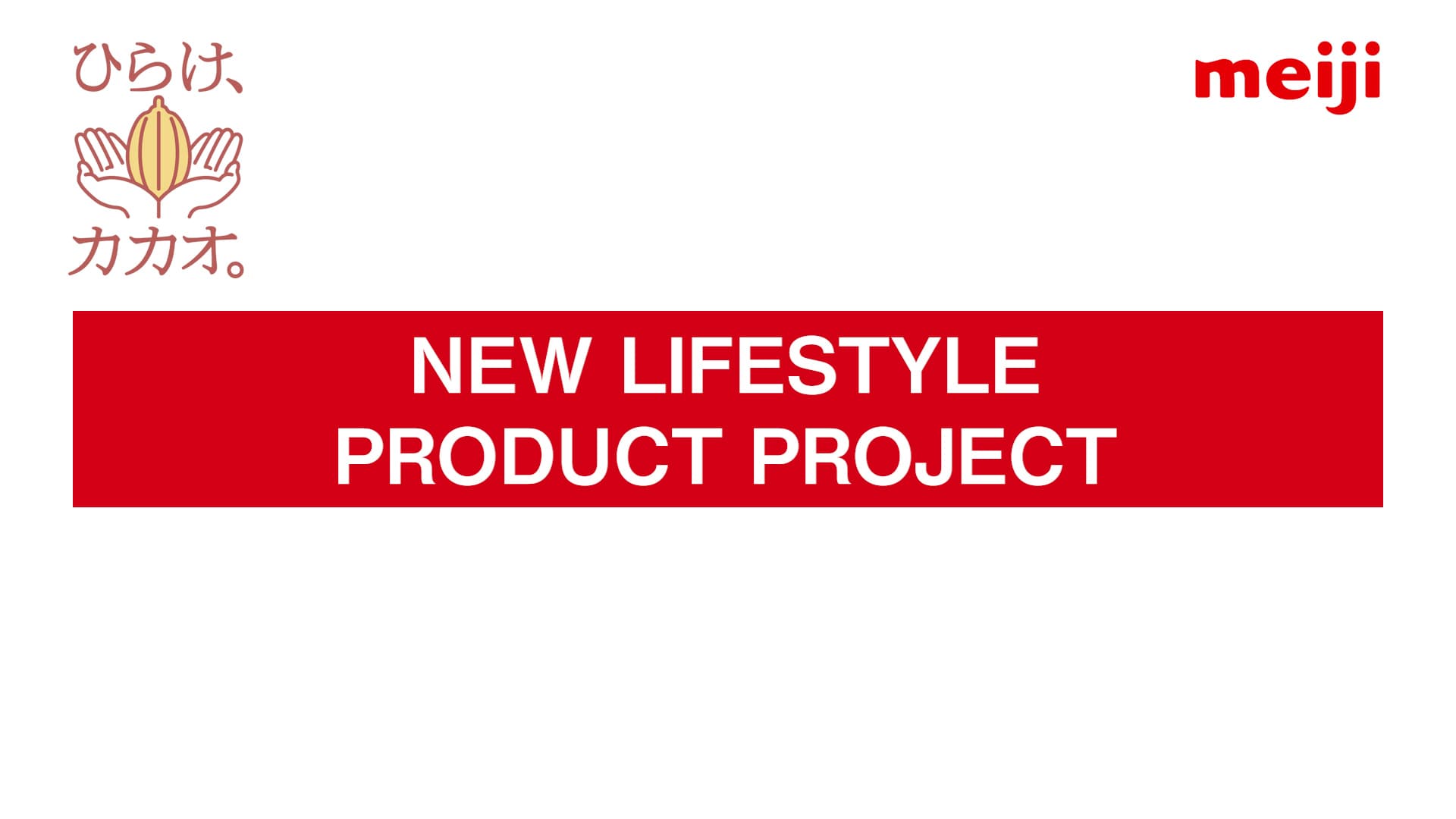 NEW LIFESTYLE PRODUCT PROJECT
