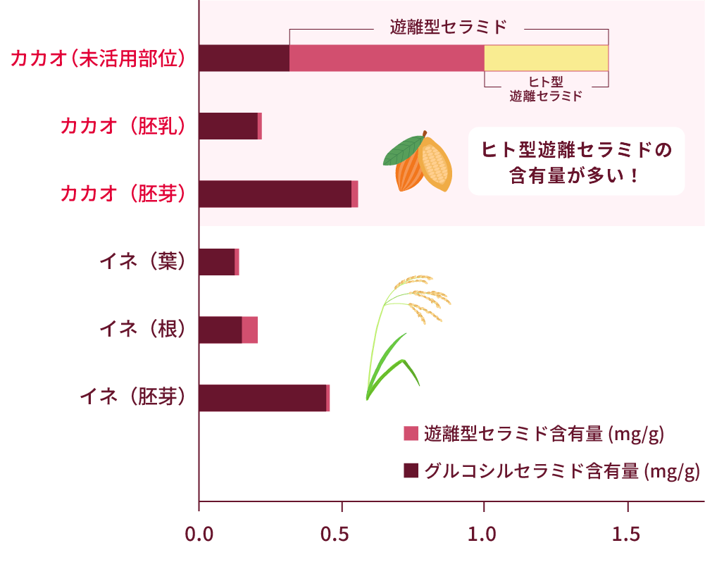 カカオセラミドの特徴のグラフ