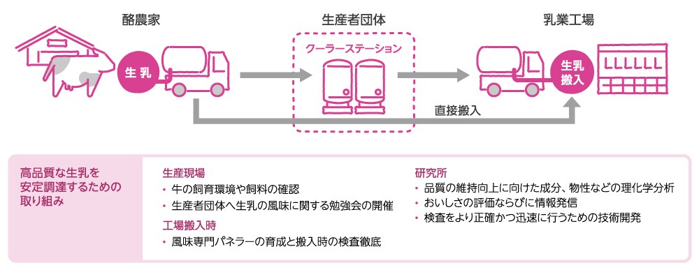 イラスト:高品質な生乳を安定調達するための取り組み・生産現場 牛の飼育環境や飼料の確認、生産者団体への生乳の風味に関する勉強会の開催・工場搬入時 風味専門パネラーの育成と搬入時の検査徹底・研究所 品質の維持向上に向けた成分、物性などの理化学分析、おいしさの評価ならびに情報発信、検査をより正確かつ迅速に行うための技術開発