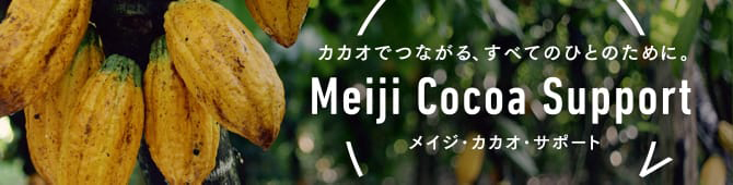 バナー：カカオでつながる、すべてのひとのために。Meiji Cocoa Support メイジ・カカオ・サポート
