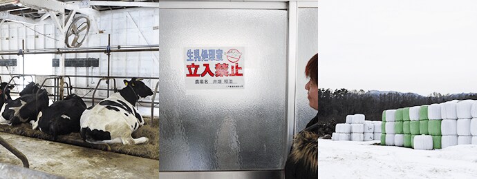 写真:牛舎、生乳処理室、牧草