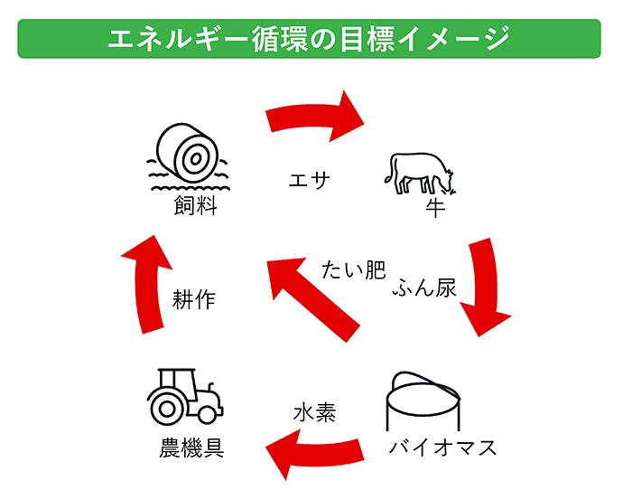 エネルギー循環の目標イメージ エサ、牛、ふん尿、たい肥、バイオマス、水素、農機具、耕作、飼料