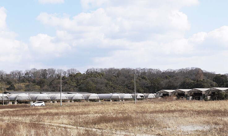 写真:堺酪農団地②