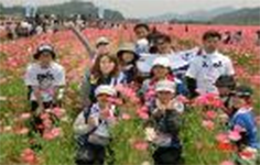 写真:ウォーキング大会