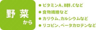 野菜から　ビタミンA、B群、Cなど　食物繊維など　カリウム、カルシウムなど　リコピン、ベータカロテンなど