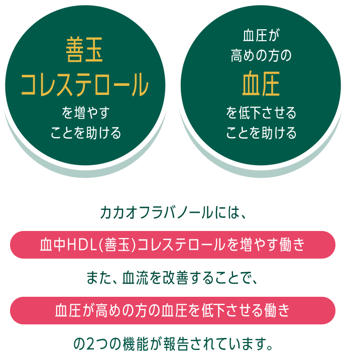 善玉コレステロールを増やすことを助ける、血圧が高めの方の血圧を低下させることを助ける。カカオフラバノールには、血中HDL(善玉)コレステロールを増やす働き、また、血流を改善することで、血圧が高めの方の血圧を低下させる働きの2つの機能が報告されています。