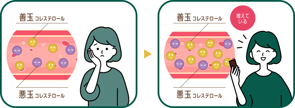 善玉コレステロール、悪玉コレステロール⇒善玉コレステロール（増えている）、悪玉コレステロール