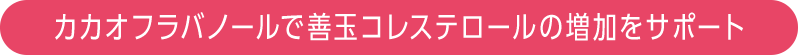 カカオフラバノールで善玉コレステロールの増加をサポート