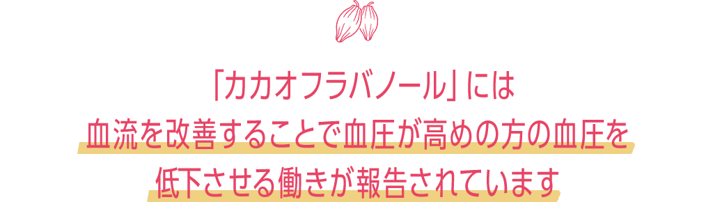 「カカオフラバノール」には血流を改善することで血圧が高めの方の血圧を低下させる働きが報告されています