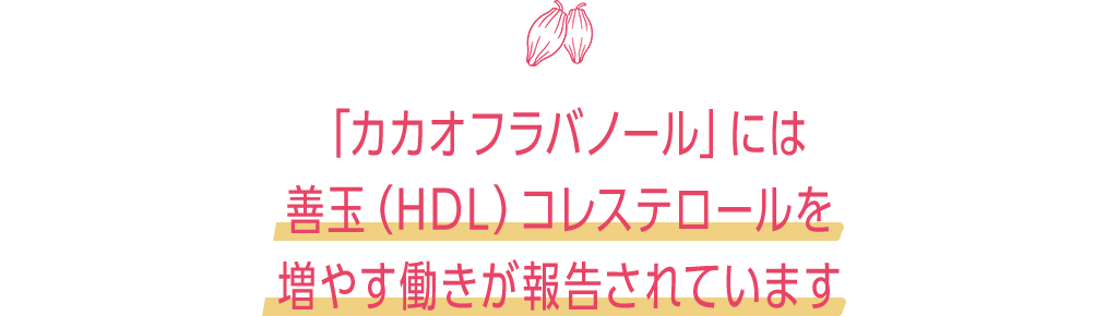 「カカオフラバノール」には善玉（HDL）コレステロールを増やす働きが報告されています