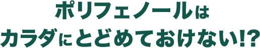 ポリフェノールはカラダにとどめておけない！？ 