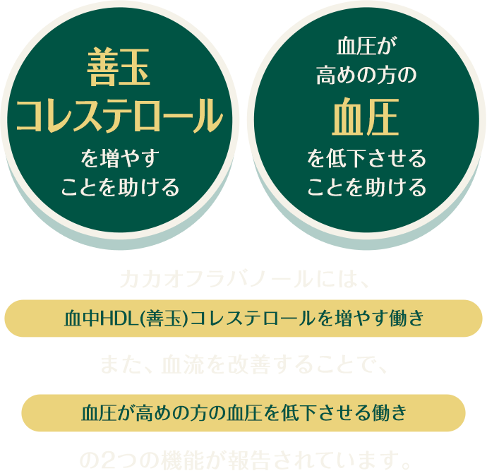 善玉コレステロールを増やすことを助ける、血圧が高めの方の血圧を低下させることを助ける。カカオフラバノールには、血中HDL(善玉)コレステロールを増やす働き、また、血流を改善することで、血圧が高めの方の血圧を低下させる働きの2つの機能が報告されています。