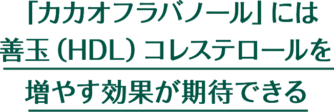 「カカオフラバノール」には善玉（HDL）コレステロールを増やす効果が期待できる