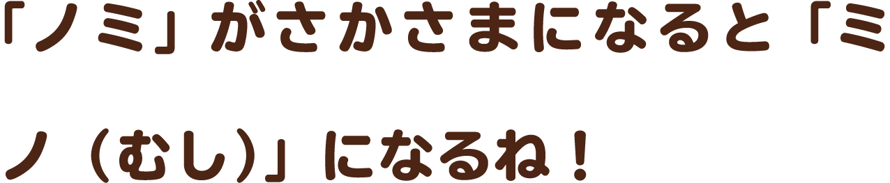 「ノミ」がさかさまになると「ミノ（むし）」になるね！
