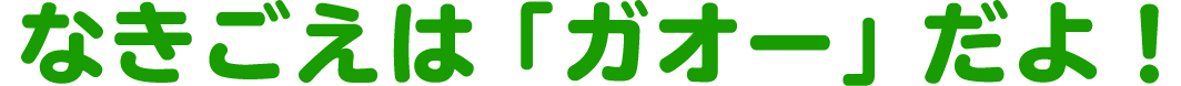 なきごえは「ガオー」だよ！