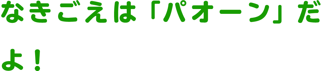 なきごえは「パオーン」だよ！