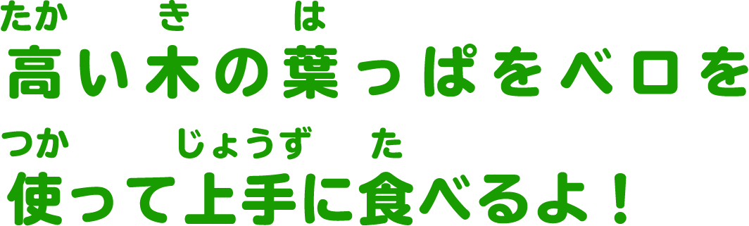 高い木の葉っぱをベロを使って上手に食べるよ！