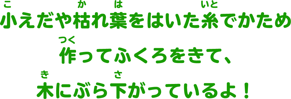 小えだや枯れ葉をはいた糸でかため作ってふくろをきて、木にぶら下がっているよ！