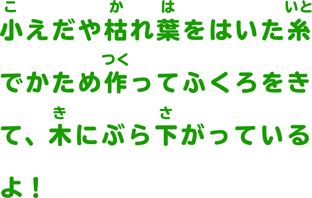 小えだや枯れ葉をはいた糸でかため作ってふくろをきて、木にぶら下がっているよ！