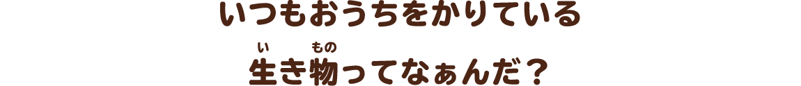 いつもおうちをかりている生き物ってなぁんだ？