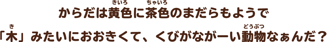 からだは黄色に茶色のまだらもようで「木」みたいにおおきくて、くびがながーい 動物なぁんだ？