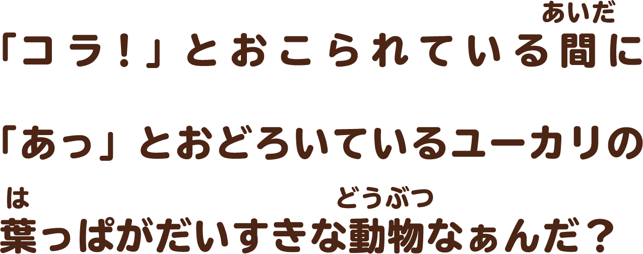 「コラ！」とおこられている間に「あっ」とおどろいているユーカリの葉っぱがだいすきな動物なぁんだ？