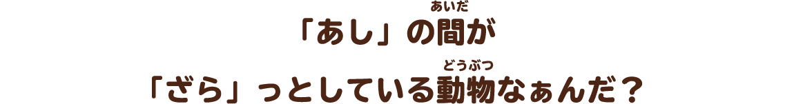 「あし」の間が「ざら」っとしている動物なぁんだ？