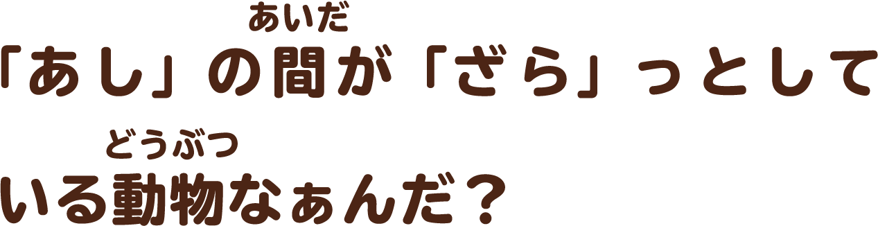 「あし」の間が「ざら」っとしている動物なぁんだ？