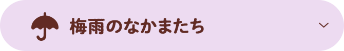 梅雨のなかまたち