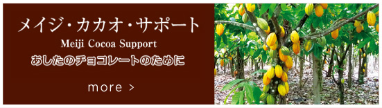 メイジ・カカオ・サポート Meiji Cocoa Support あなたのチョコレートのために more