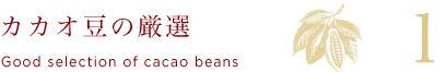 カカオ豆の厳選 Good selection of cacao beans 1