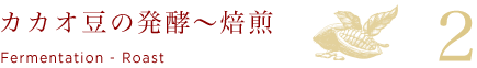 カカオ豆の発酵〜焙煎 Fermentation - Roast 2