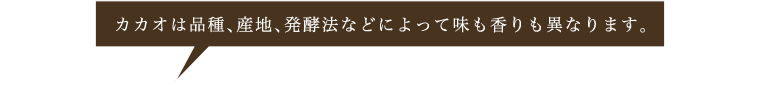カカオは品種、産地、発酵法などによって味も香りも異なります。