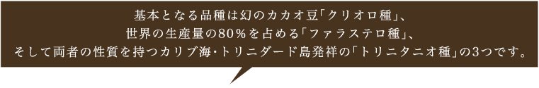 基本となる品種は幻のカカオ豆「クリオロ種」、世界の生産量の80％を占める「ファラステロ種」そして両者の性質を持つカリブ海・トリニダード島発祥の「トリニタニオ種」の3つです。