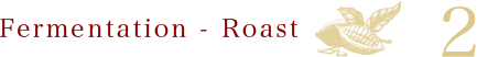 Fermentation - Roast 2