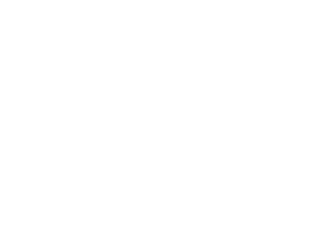 Essential 絶対に必要な、基本的な、主要な