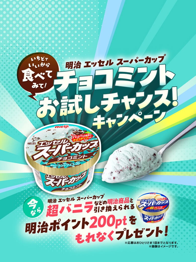 明治 エッセル スーパーカップ チョコミント