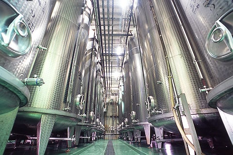 地下水を利用したワインの発酵タンク群