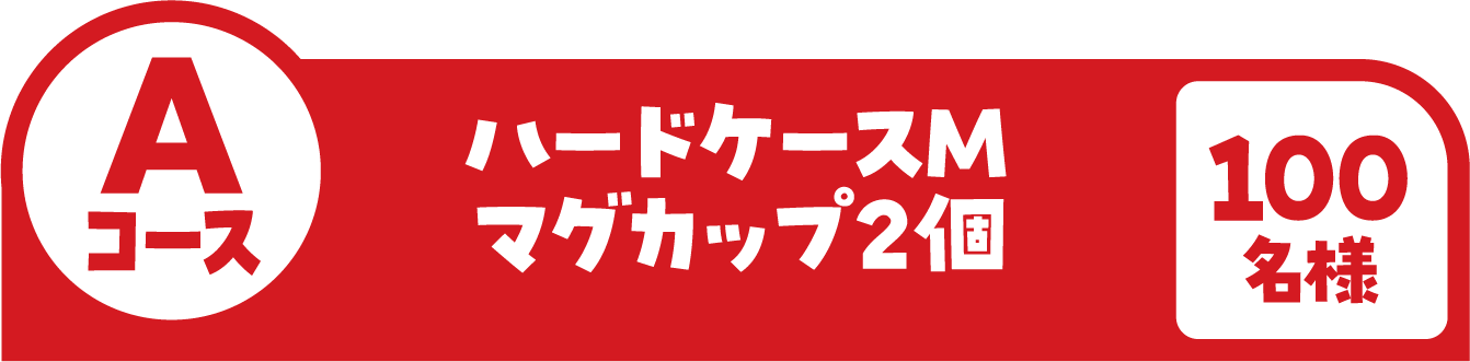 Aコース ハードケースM マグカップ2個 100名様