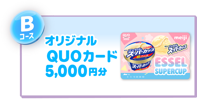 Bコース オリジナルQUOカード5,000円分