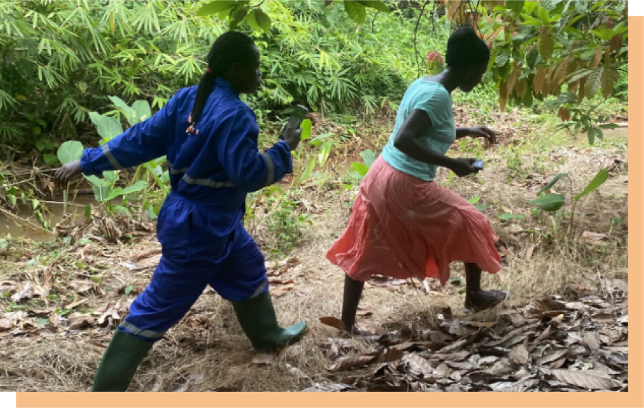 豊かな森林を守る活動を 活動イメージ