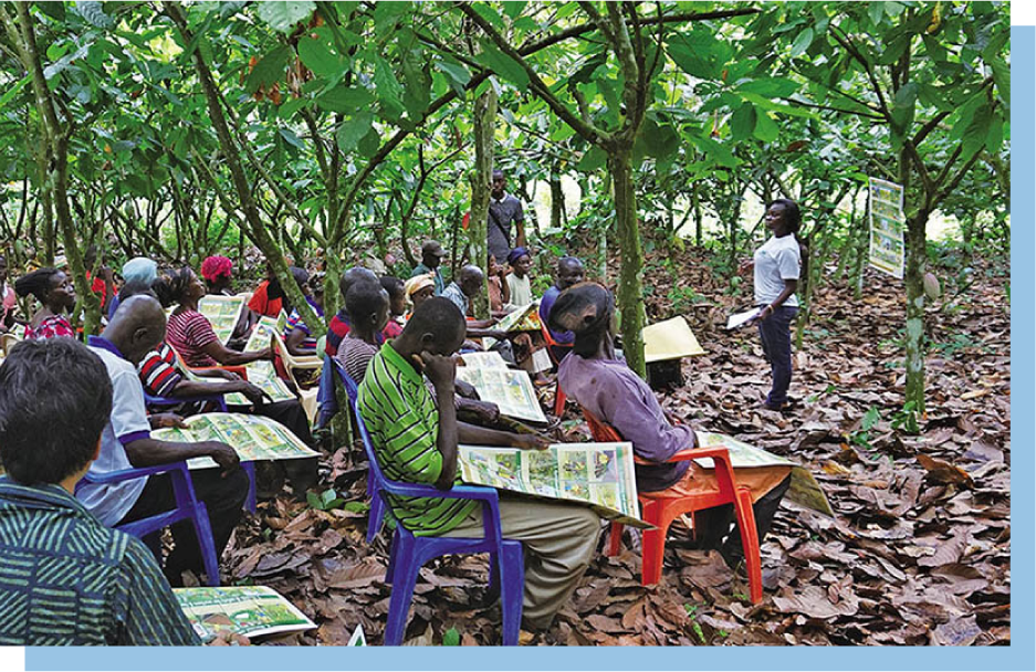カカオづくりを、技術で支える 活動イメージ