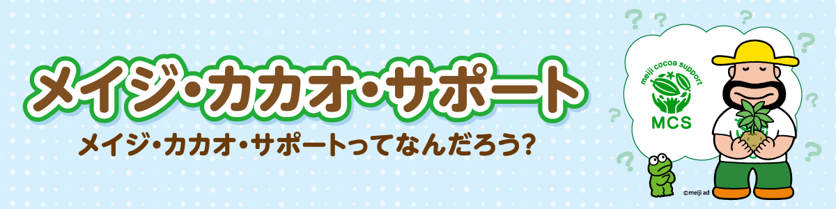 メイジ・カカオ・サポート メイジ・カカオ・サポートってなんだろう？